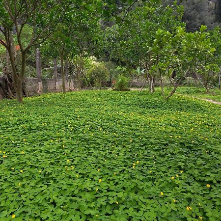 Yen Binh Homestay Ninh Bình Exteriör bild