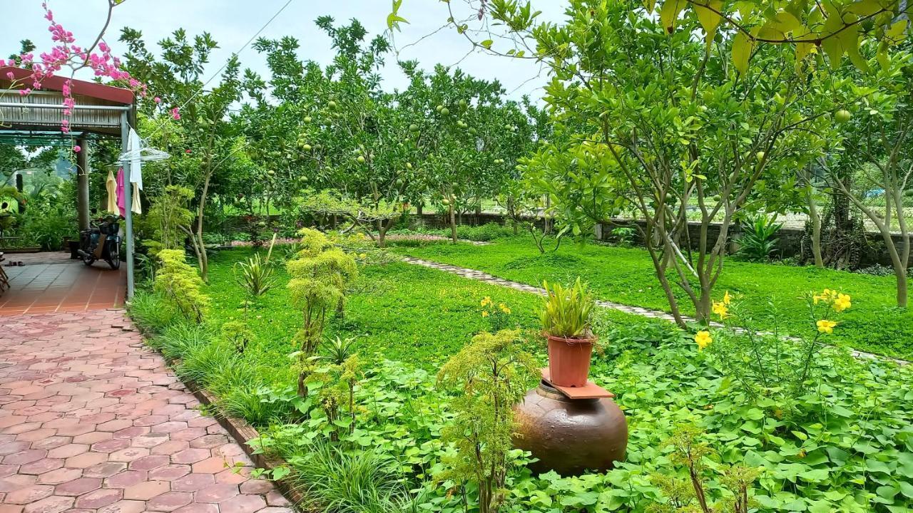 Yen Binh Homestay Ninh Bình Exteriör bild