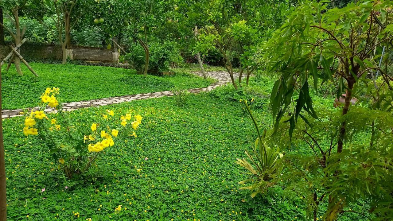 Yen Binh Homestay Ninh Bình Exteriör bild