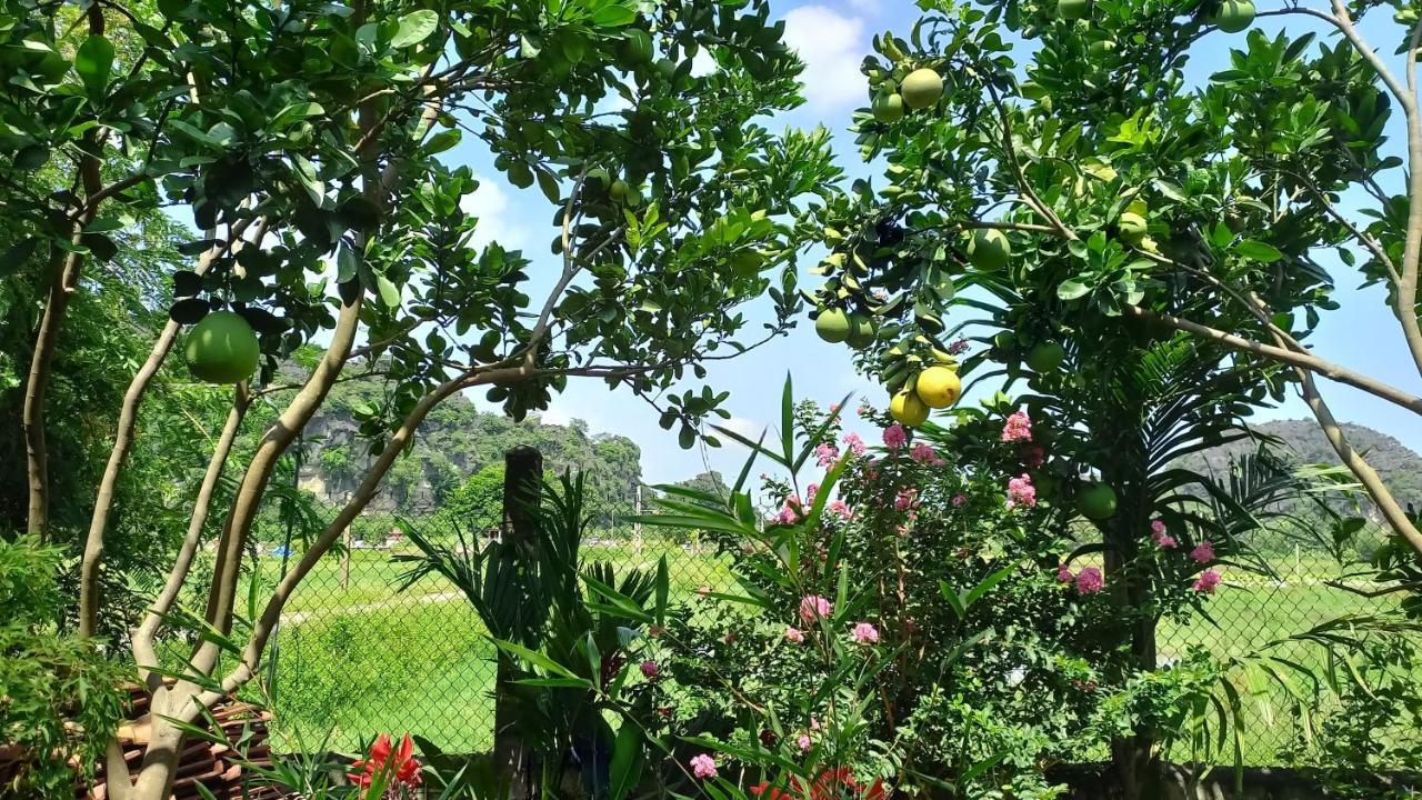 Yen Binh Homestay Ninh Bình Exteriör bild