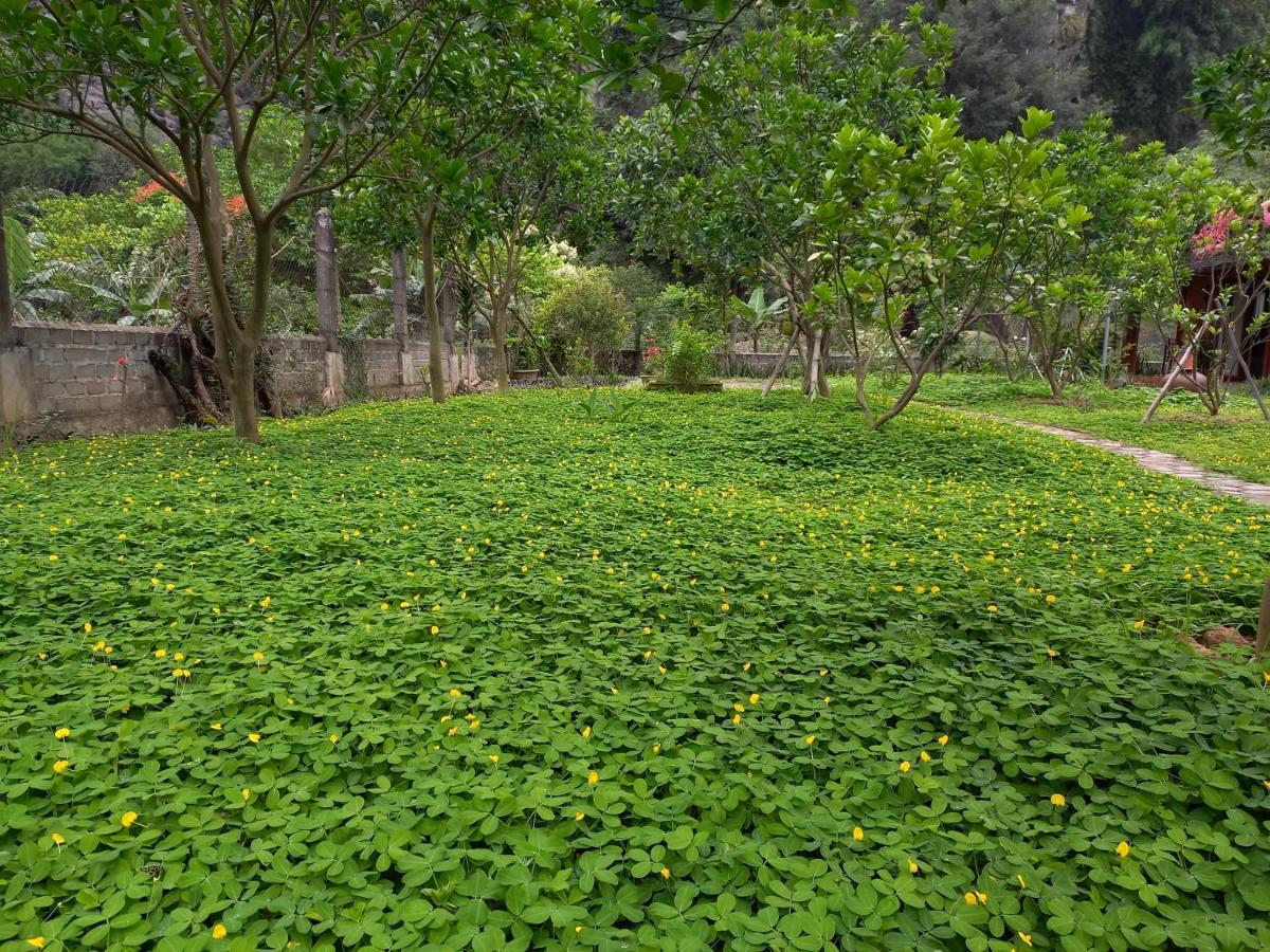 Yen Binh Homestay Ninh Bình Exteriör bild