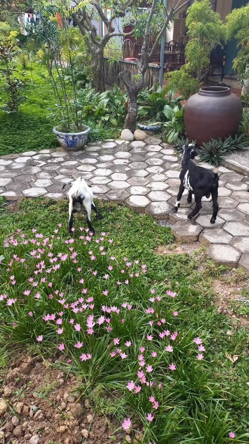 Yen Binh Homestay Ninh Bình Exteriör bild