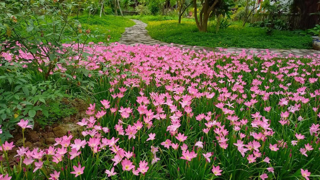 Yen Binh Homestay Ninh Bình Exteriör bild