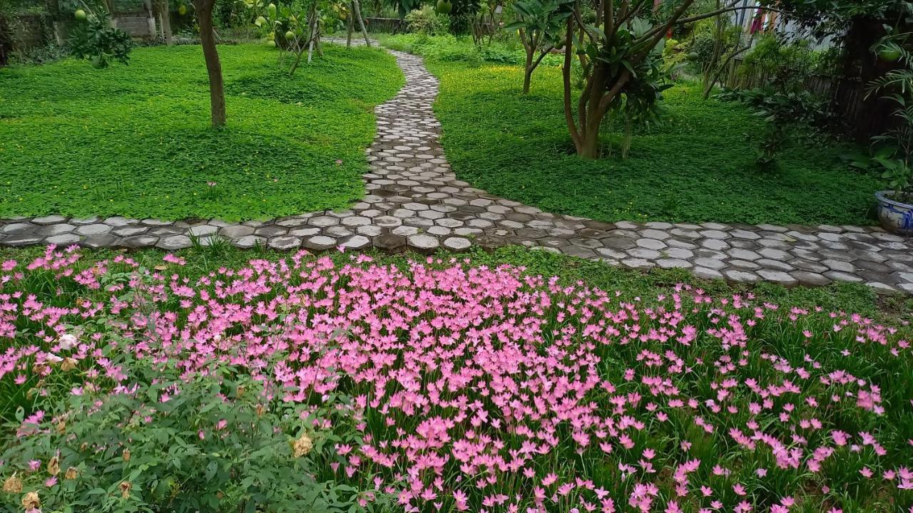 Yen Binh Homestay Ninh Bình Exteriör bild