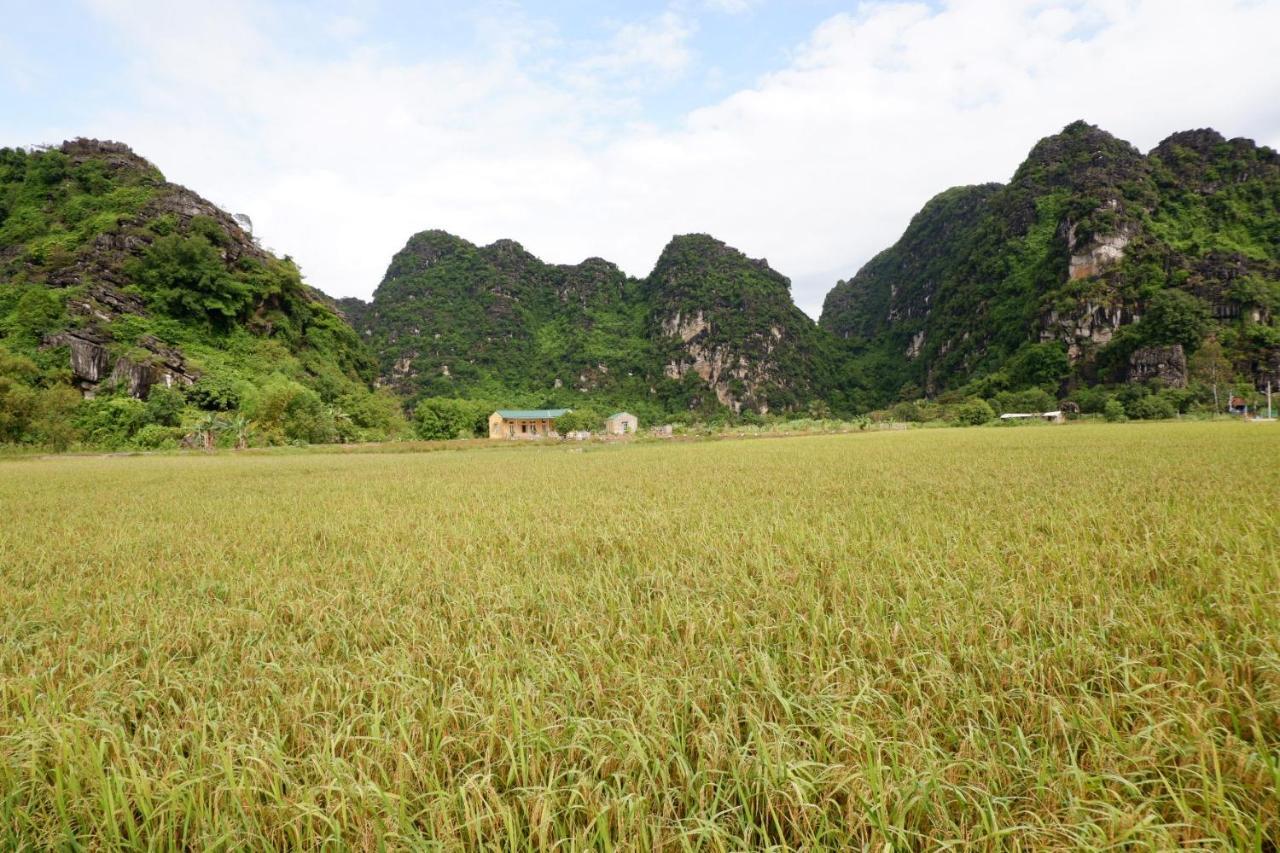 Yen Binh Homestay Ninh Bình Exteriör bild